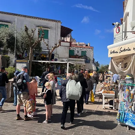 About Capri Nyaraló *